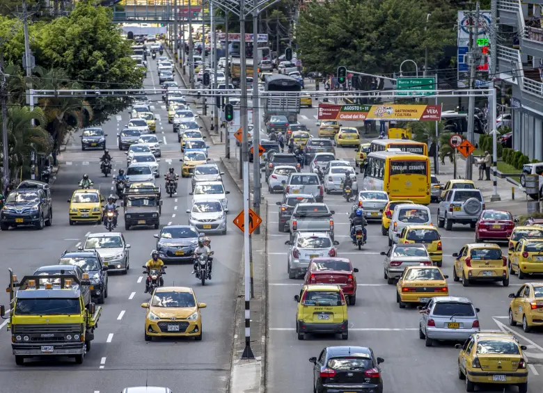 la RTM está establecida en la Ley 769 de 2002